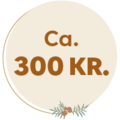 ca. 300 kr